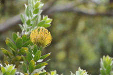 Enlarge photo 37