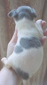 Enlarge photo 17
