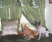 Enlarge photo 4