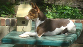 Enlarge photo 34