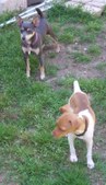 Enlarge photo 20