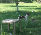 Enlarge photo 27