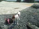 Enlarge photo 14