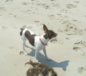 Enlarge photo 15