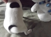 Enlarge photo 8