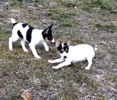 Enlarge photo 26