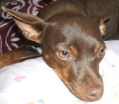 Enlarge photo 10
