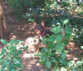 Enlarge photo 5