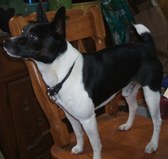 Enlarge photo 7