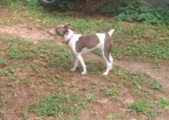 Enlarge photo 10