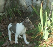 Enlarge photo 21