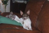 Enlarge photo 15