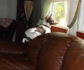Enlarge photo 7