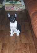 Enlarge photo 12