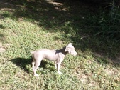 Enlarge photo 13