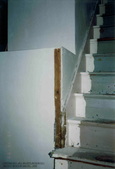 Enlarge photo 46