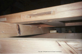 Enlarge photo 51