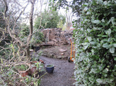 Enlarge photo 47