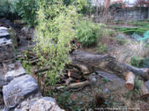 Enlarge photo 49