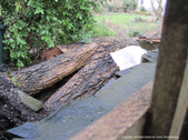 Enlarge photo 55