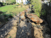 Enlarge photo 12