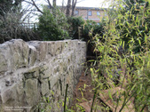 Enlarge photo 19