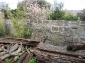 Enlarge photo 21