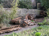 Enlarge photo 23