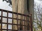 Enlarge photo 33