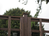 Enlarge photo 34