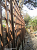 Enlarge photo 37