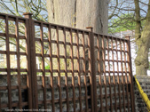 Enlarge photo 39