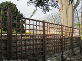 Enlarge photo 41