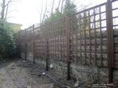 Enlarge photo 45