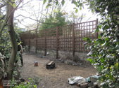 Enlarge photo 46