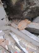 Enlarge photo 37