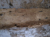 Enlarge photo 39