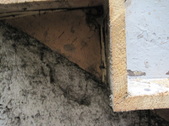 Enlarge photo 40