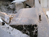 Enlarge photo 53