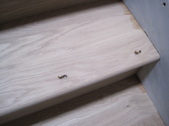 Enlarge photo 57