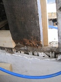 Enlarge photo 58