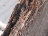 Enlarge photo 82