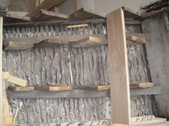 Enlarge photo 124
