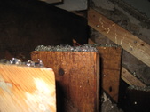 Enlarge photo 149