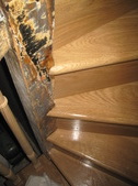 Enlarge photo 222
