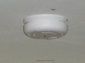 Enlarge photo 30