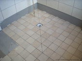 Enlarge photo 117
