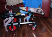 Enlarge photo 14