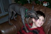 Enlarge photo 15