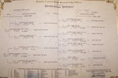 Jessie's pedigree